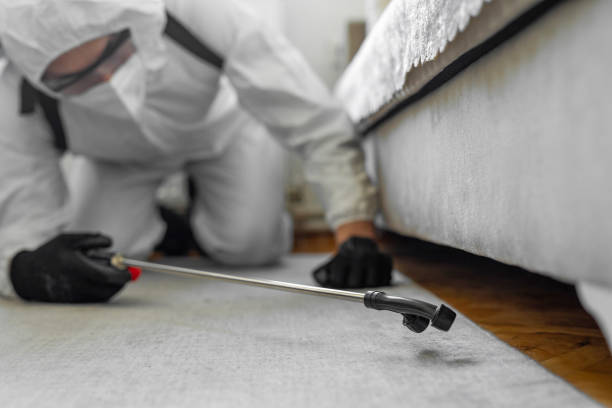 Professional Termite Control technician working in Fallbrook, CA