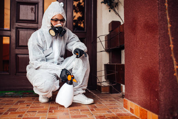Reliable Termite Control contractor in Fallbrook, CA by Nex Pest Control